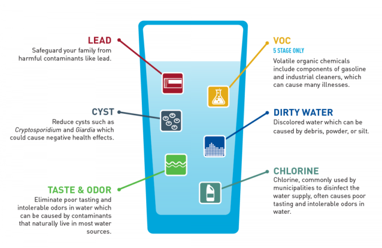 identify contaminates in your water