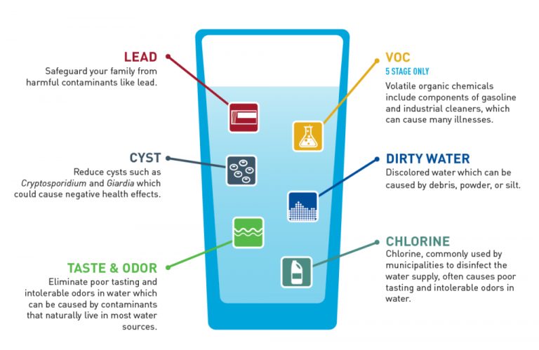 Lead Removal